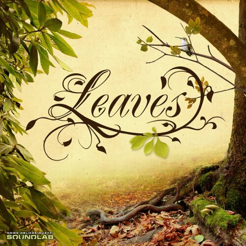 leaves_cd_front